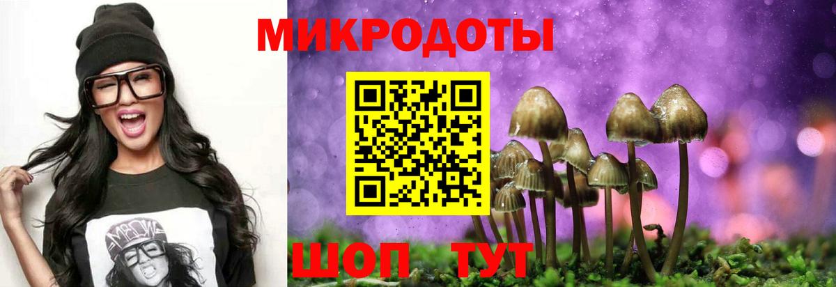 Галлюциногенные грибы MAGIC MUSHROOMS  Вход с VPN  где купить наркотик  Фрязино 